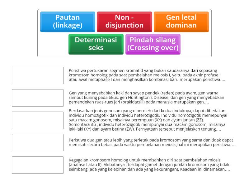 Latihan Soal Pola-pola Hereditas - Match Up