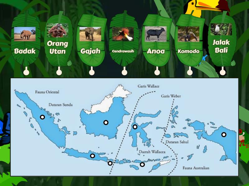 Peta Persebaran Fauna Di Indonesia Diagram Berlabel