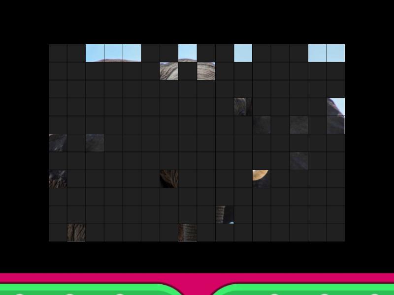 Guess The Pet Image Quiz