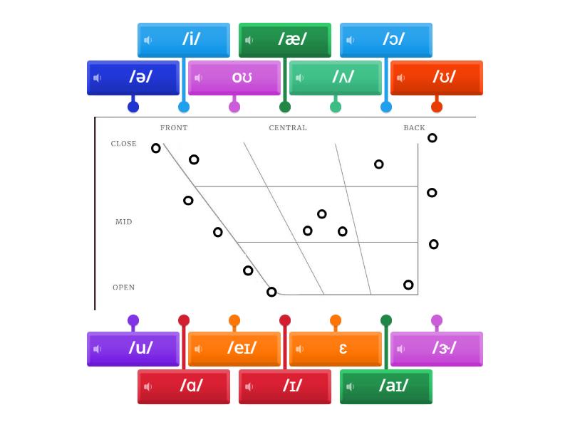 Vowel Sounds - Labelled diagram