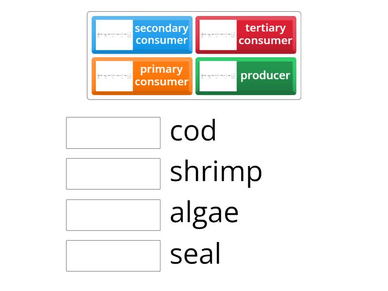 ecosystem-food-chains-match-up