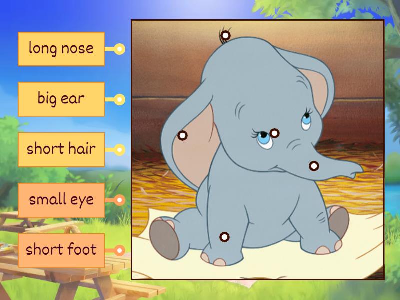 Dumbo reading practice - Labelled diagram