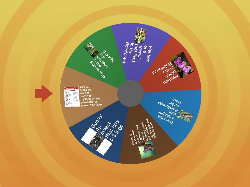 Rainforest - Spin the wheel