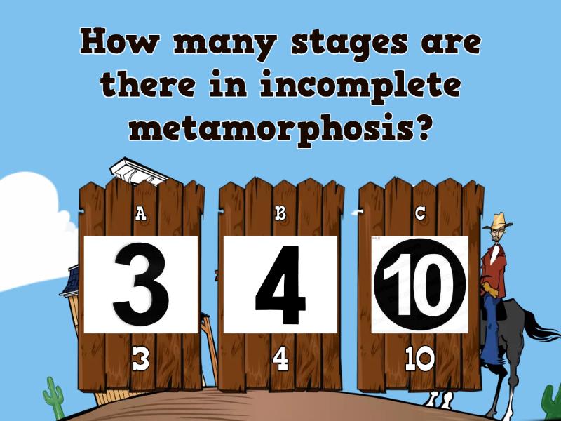 Life cycle 1 - Quiz