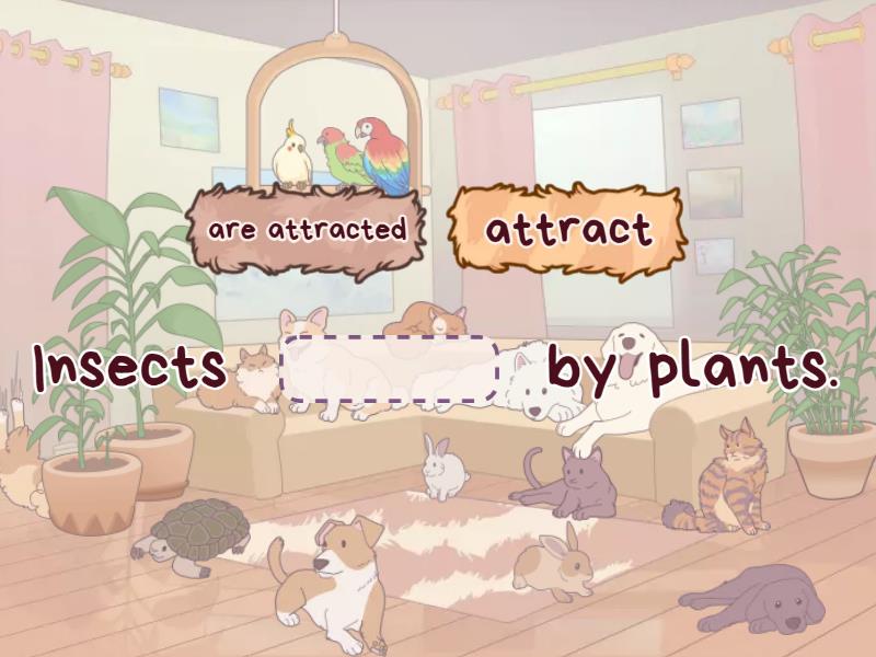 OW 5 - Unit 6 - Grammar 1 (Present Simple Passive) - Complete the sentence