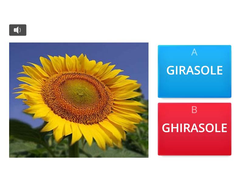 Come Si Scrive Correttamente Quiz