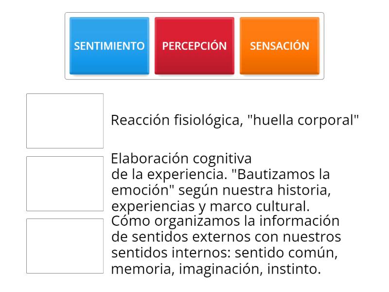 SENSACIÓN, PERCEPCIÓN Y SENTIMIENTO - Match up