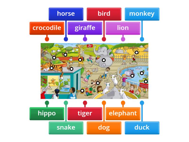 Unit 1: Animals 1 - Labelled diagram