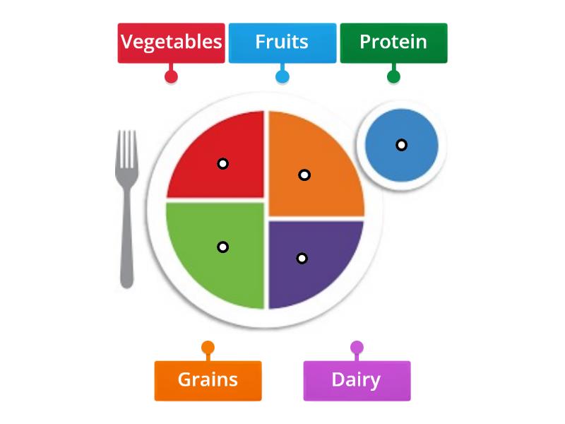 MyPlate - Labelled diagram