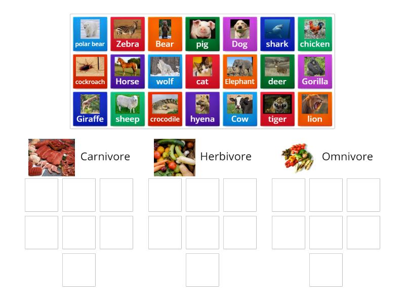 Carnivore, Herbivore and omnivore animals - Group sort