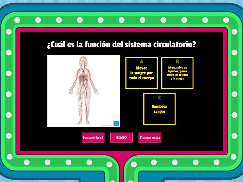 Sistema Circulatorio - Gameshow Quiz