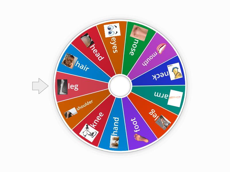 Human Body - Corpo Humano - Spin the wheel