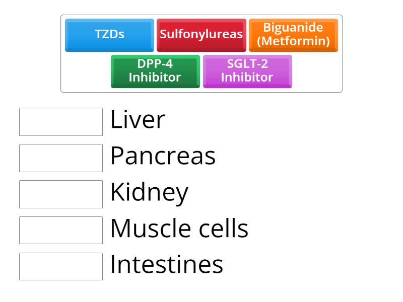 Diabetes Oral Medications - Match up