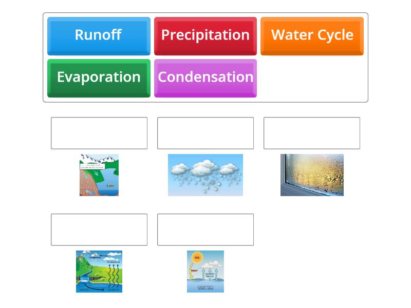 Water Cycle- 3rd Grade - Match up