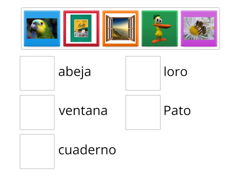 Unir imagen con palabra - Une las parejas