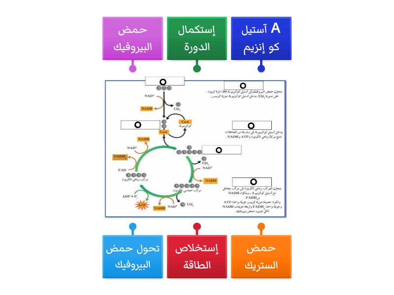 labelled-diagram