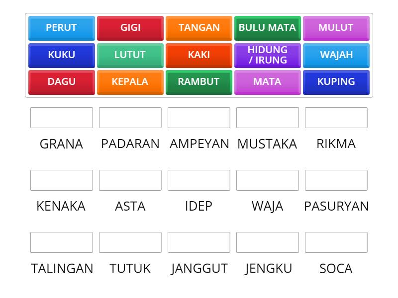 NAMA ANGGOTA TUBUH - Match up