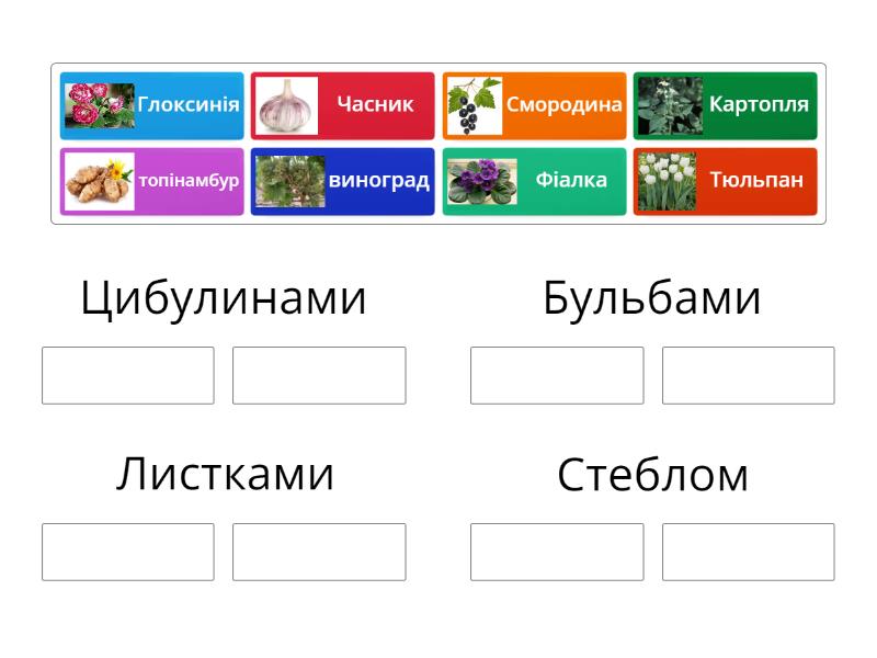 Способи розмноження рослин - Сортування за групами