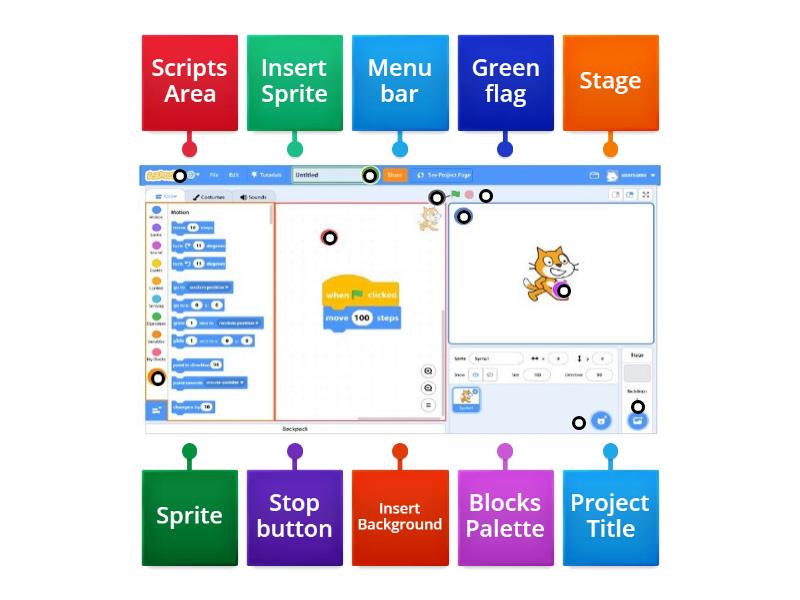 Label the different parts of Scratch Window Diagrama con etiquetas