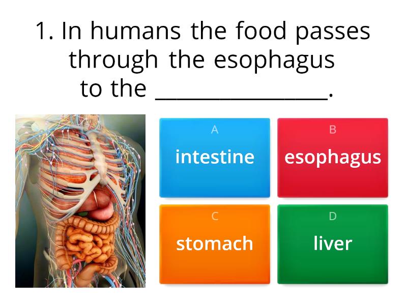 part-1-wordwall-2nd-term-final-exam-grade-4-quiz