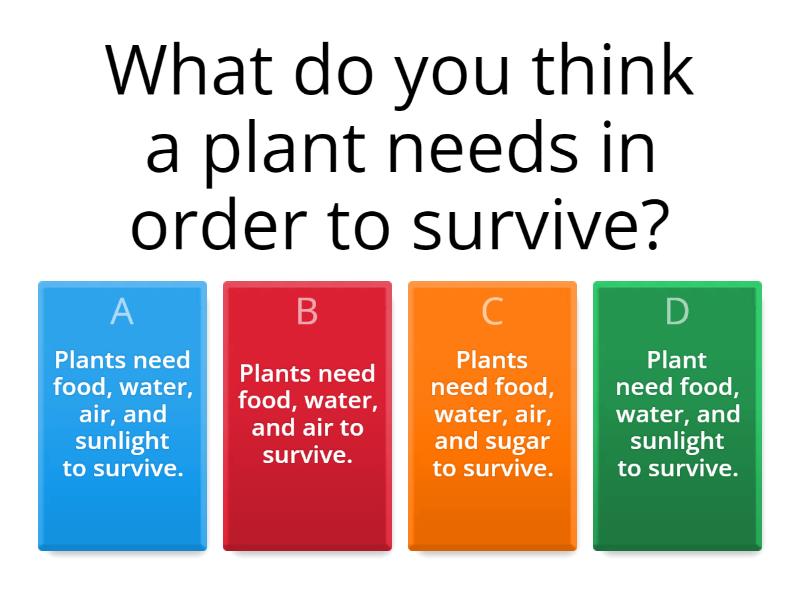Structures and Functions of Plants Quiz