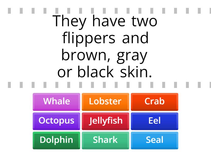 Sea creatures - Find the match