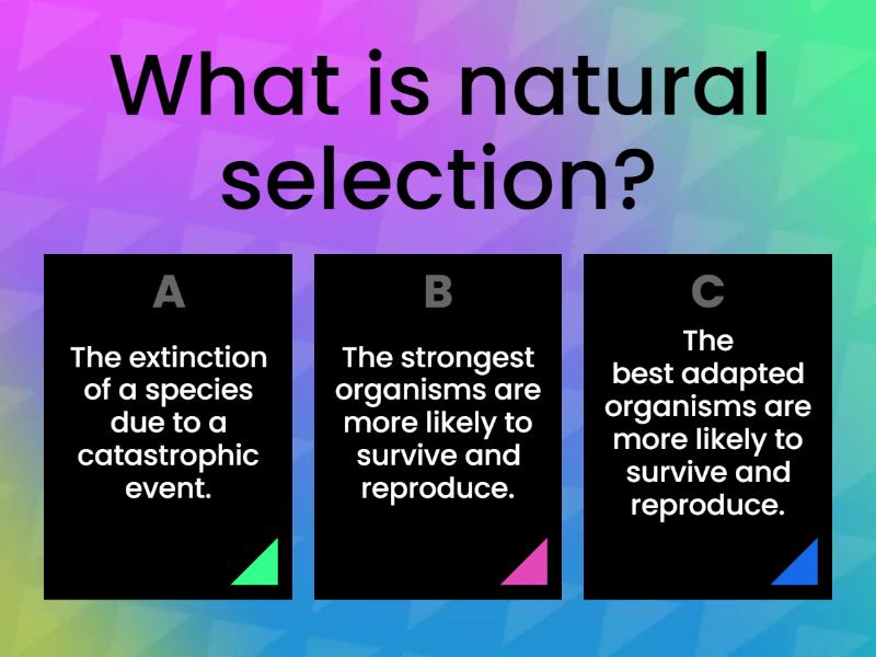 Unit 7 Natural Selection Quiz