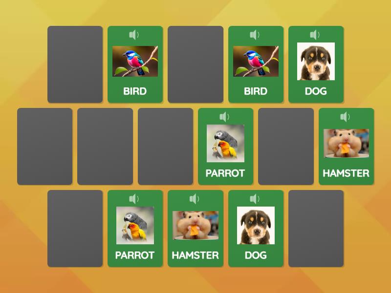 LEARN WITH US 1 UNIT 5 - Matching pairs