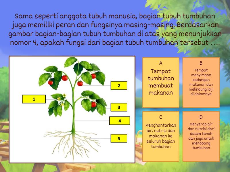 Topic A "Bagian Tubuh Tumbuhan' - Quiz