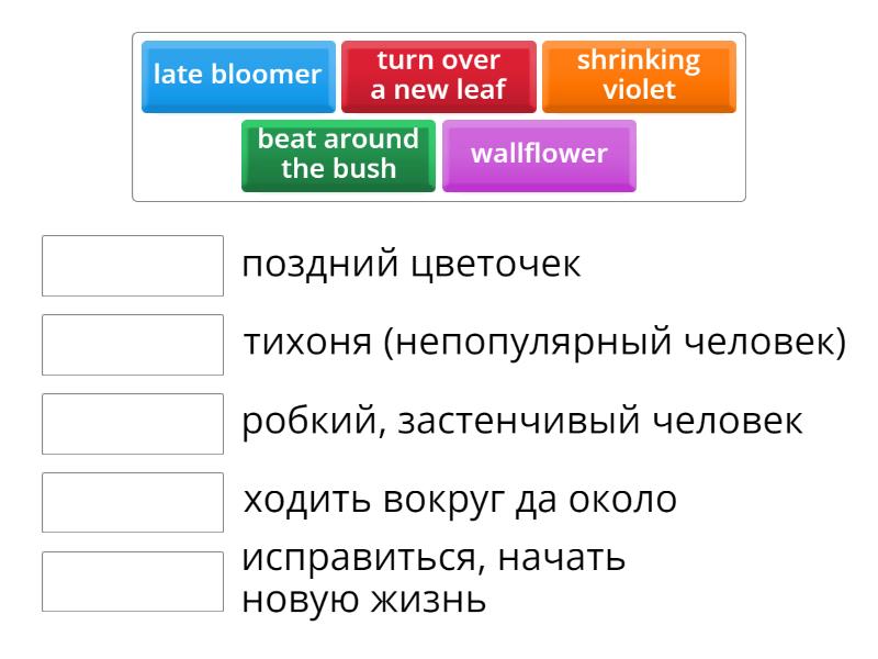 plants / trees idioms - Match up