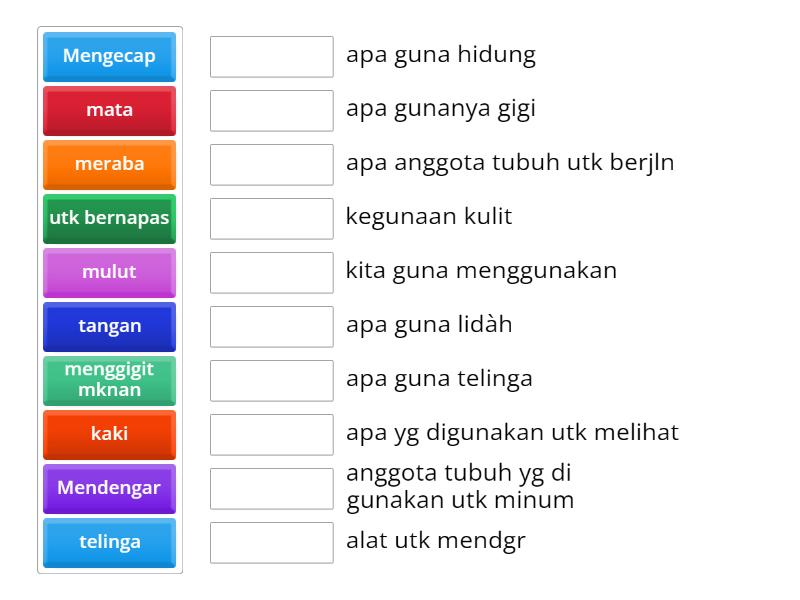 tentang anggota tubuh - Match up