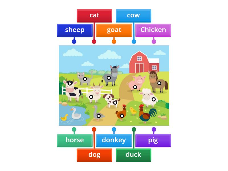 kindy 3 Farm animals - Labelled diagram