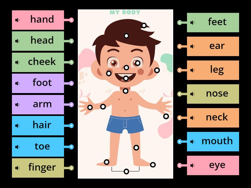 Unit 7 My Body Labelled Diagram