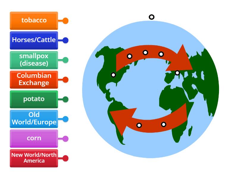 Columbian Exchange Chart Labelled diagram
