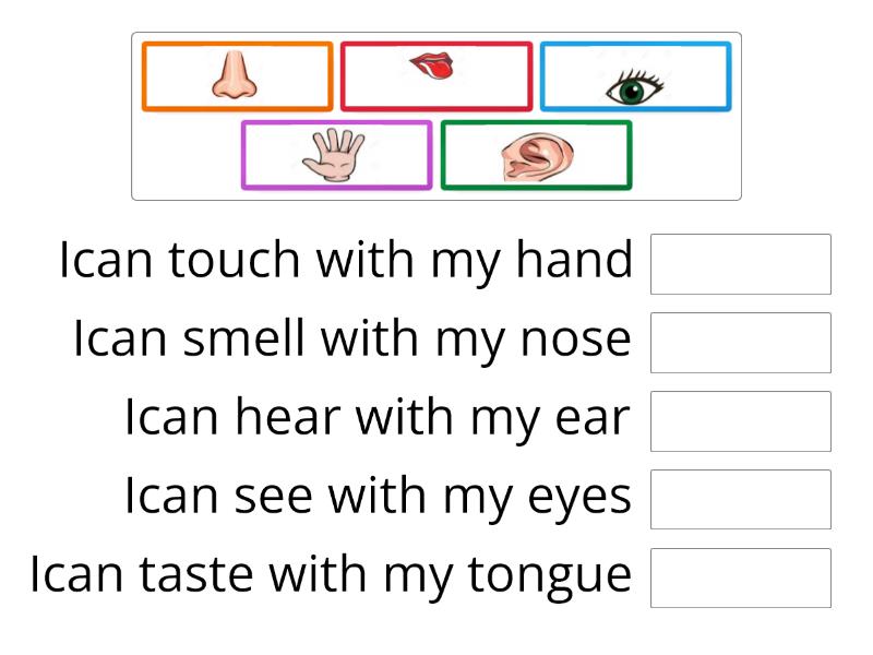 five senses - Match up