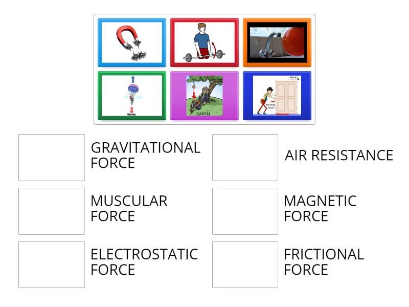 IDENTIFY THE TYPE OF FORCE - Match up