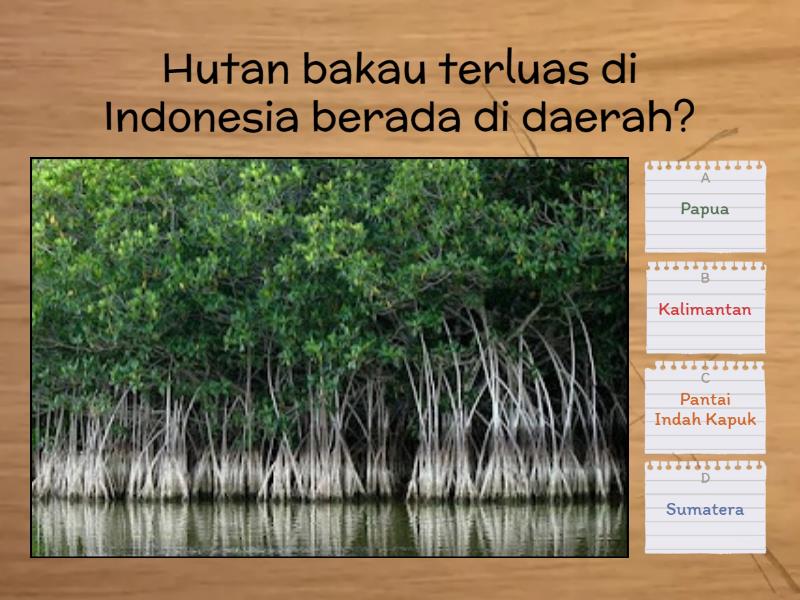 Ada Apa Ya Di Indonesia? - Quiz