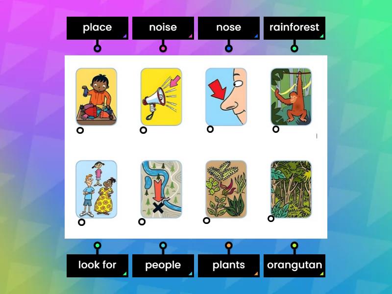 Picture dictionary 3 - Labelled diagram