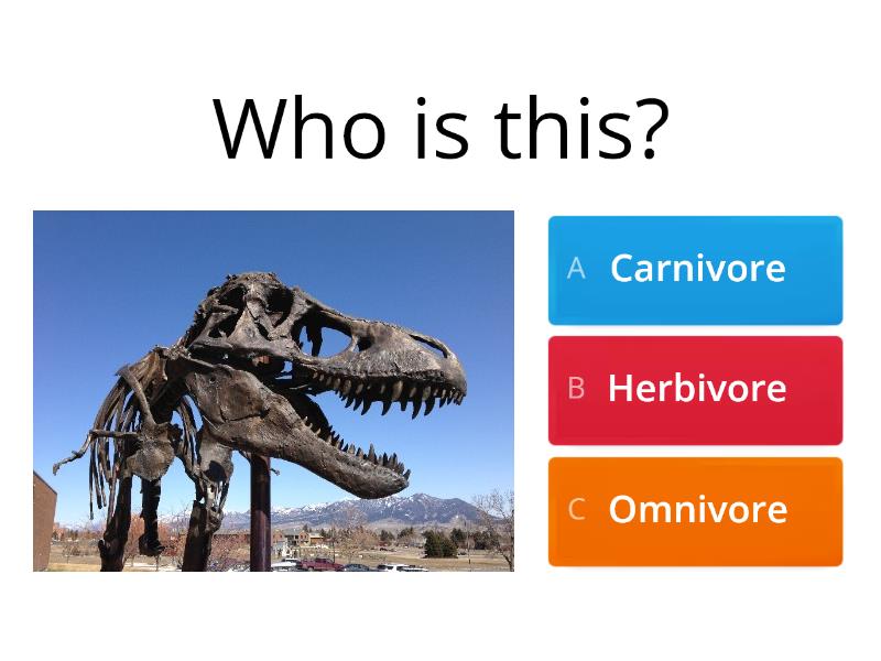 Carnivore, Herbivore, Omnivore - Quiz