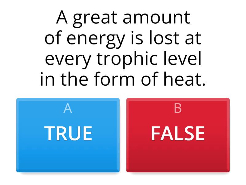 10-law-of-energy-quiz