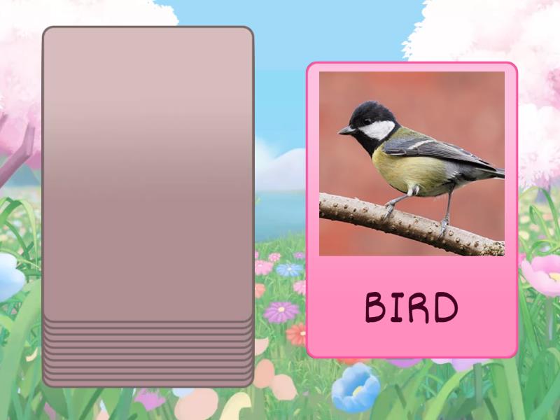 SUPER SAFARI 1, cat bird fish rabbit - Speaking cards