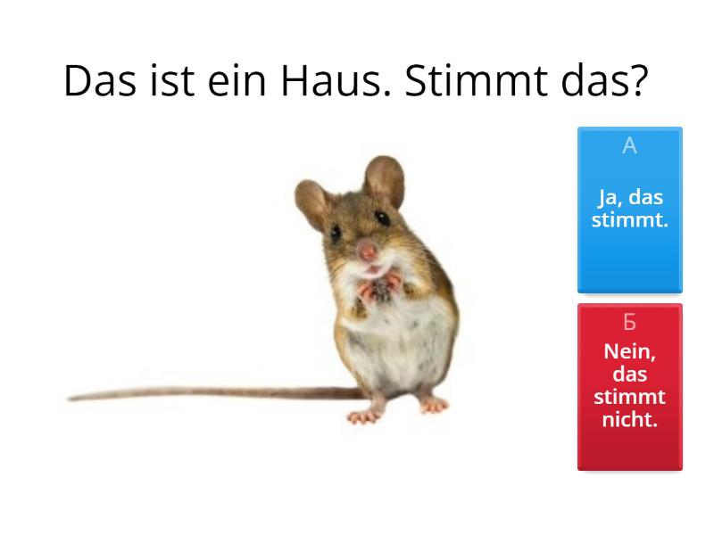 Stimmt das? Ist das richtig? - Quiz