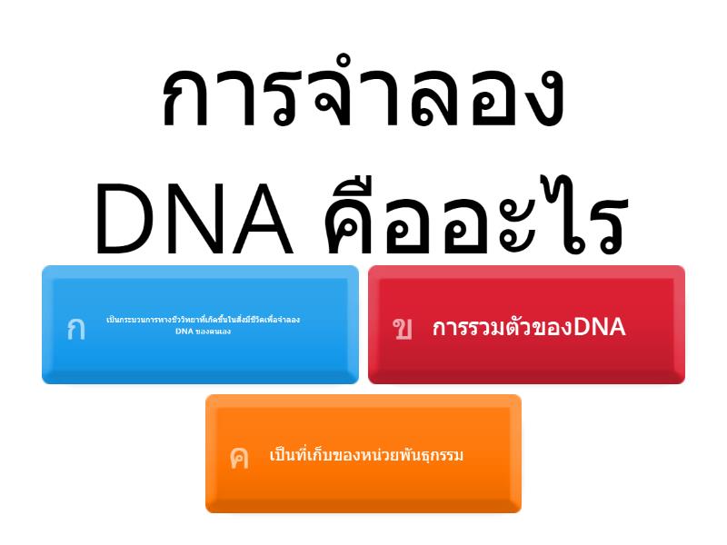 การจำลอง DNA - Quiz