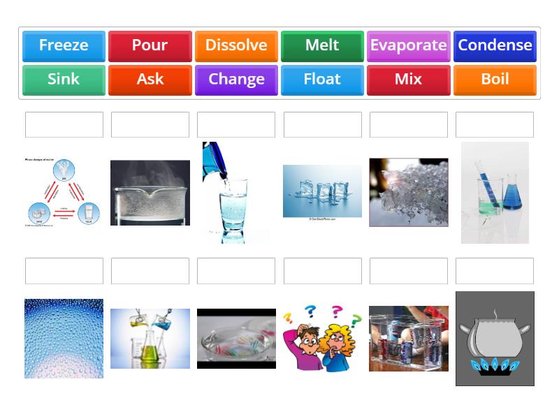 Science Verbs - Match up