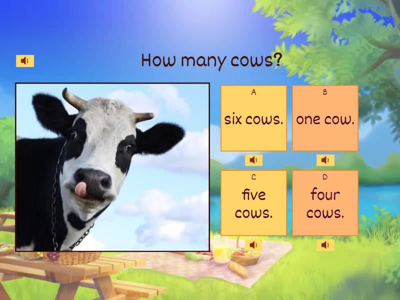 How many..........? - Quiz