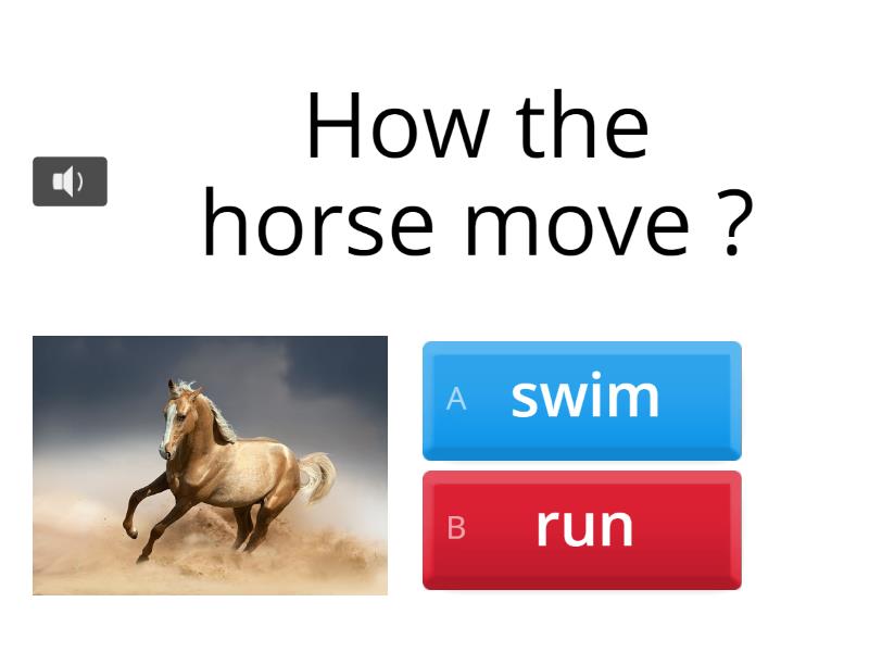 How do animals move ? - Quiz