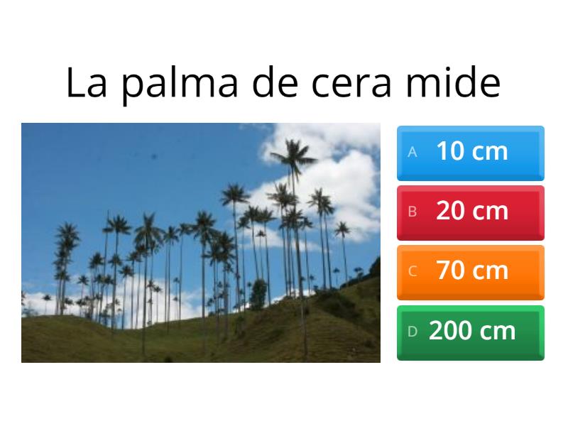 arbol-nacional-cuestionario