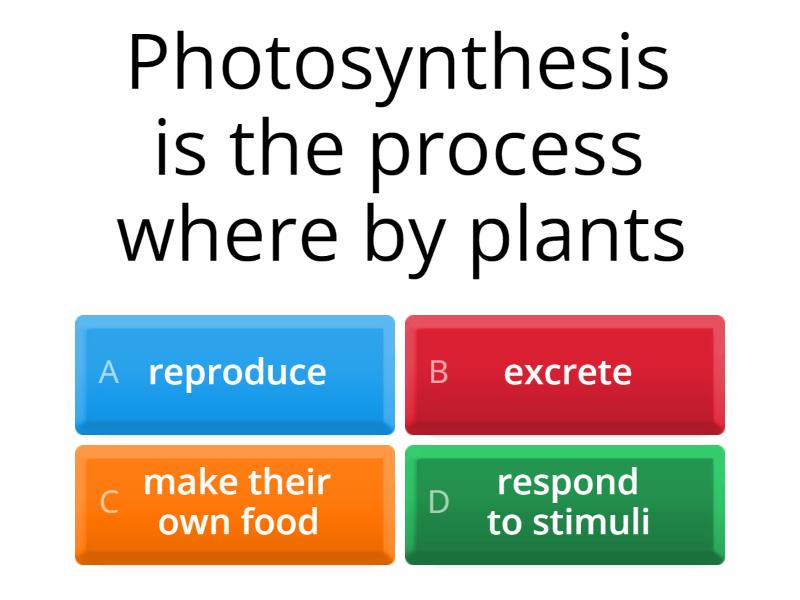 what structure is the main site of photosynthesis