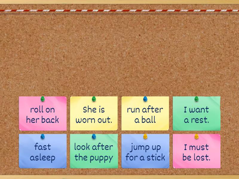 W6 sniff phrases - Find the match