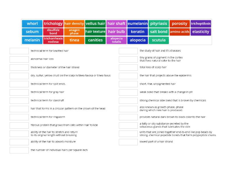 Properties of hair and scalp - Match up